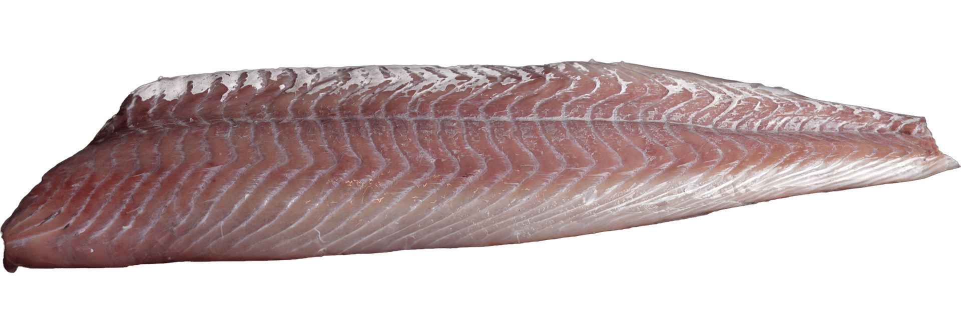 Haddock fillet skinless Zeelandia van Belzen Fish Wholesaler