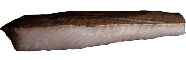 Cod loins with skin Zeelandia van Belzen fish wholesale