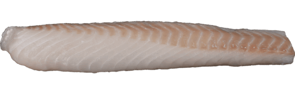 Skinless cod loins Zeelandia van Belzen Fish Wholesaler