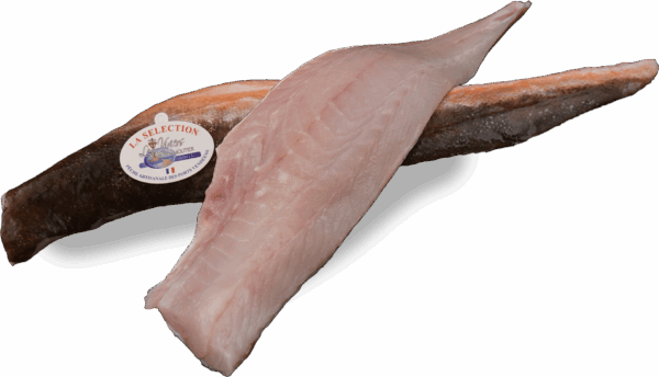 Gurnard fillet Zeelandia van Belzen Fish Wholesaler
