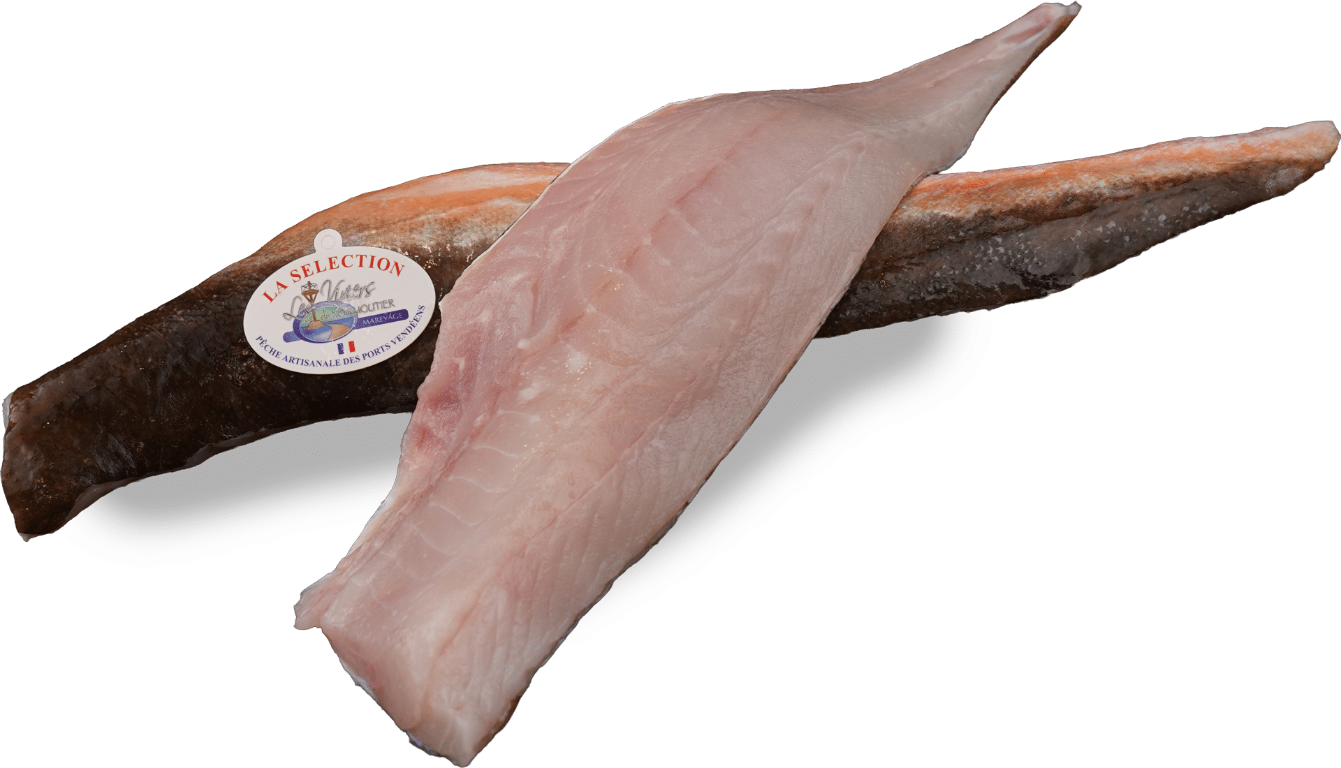 Gurnard fillet Zeelandia van Belzen Fish Wholesaler