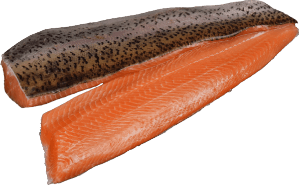 Zeelandia Van Belzen salmon trout fillet
