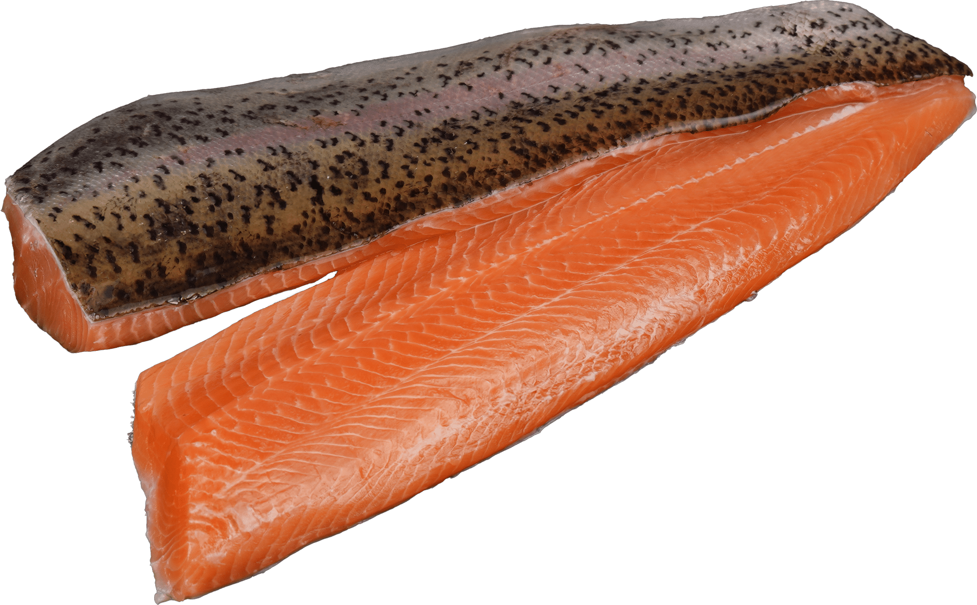 Zeelandia Van Belzen salmon trout fillet