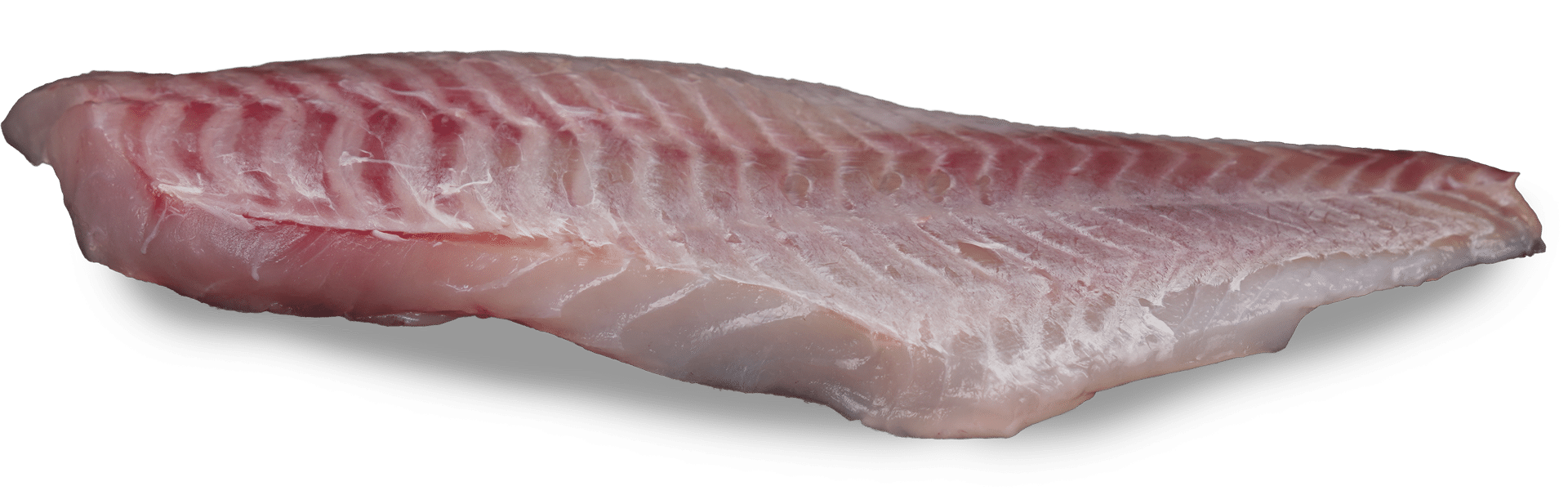 Rock salmon fillet, skinless - Zeelandia van Belzen Fish Wholesaler
