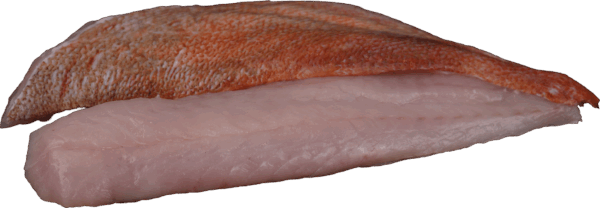Redfish fillet with skin Zeelandia from Belzen Fish Wholesale