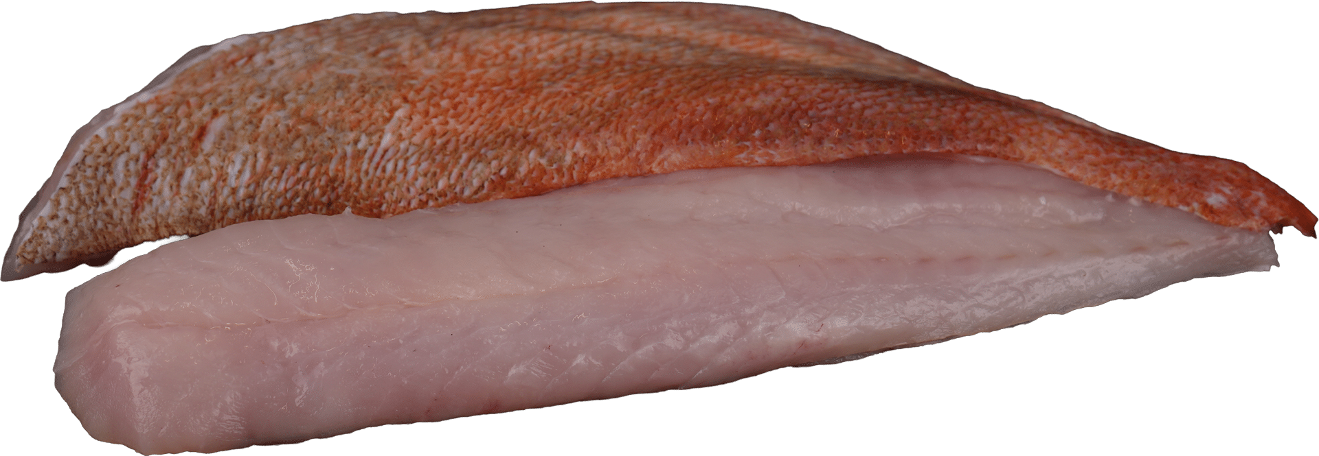 Redfish fillet with skin Zeelandia from Belzen Fish Wholesale