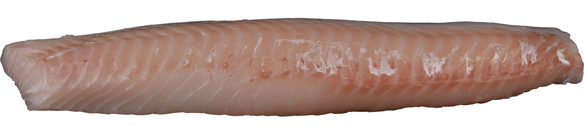 Haddock fillets Zeelandia Van Belzen Fish Wholesale
