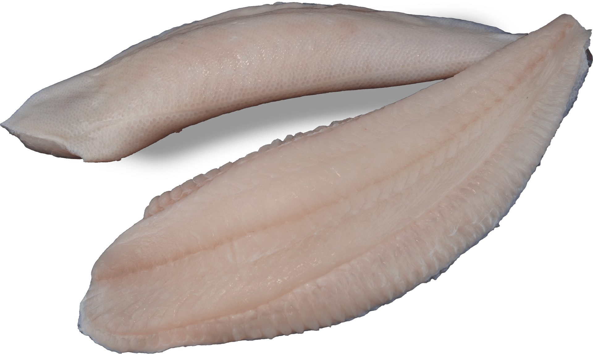 Zeelandia van Belzen Fish Wholesalers Plaice Fillet with Skin