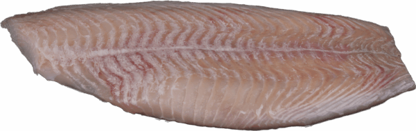 Zeelandia van Belzen fish wholesale skinless plaice fillet