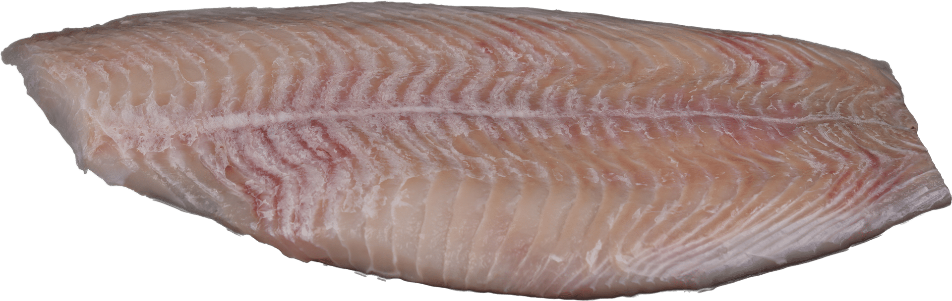 Zeelandia van Belzen fish wholesale skinless plaice fillet