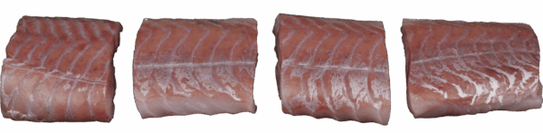 Pollock fillet portioned Zeelandia van Belzen Fish Wholesaler