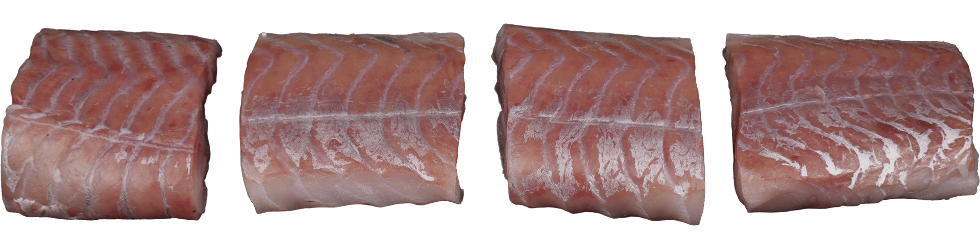 Pollock fillet portioned Zeelandia van Belzen Fish Wholesaler