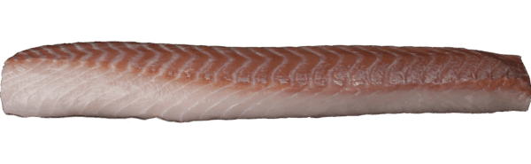 Skinless Pollock Loins Zeelandia van Belzen Fish Wholesalers