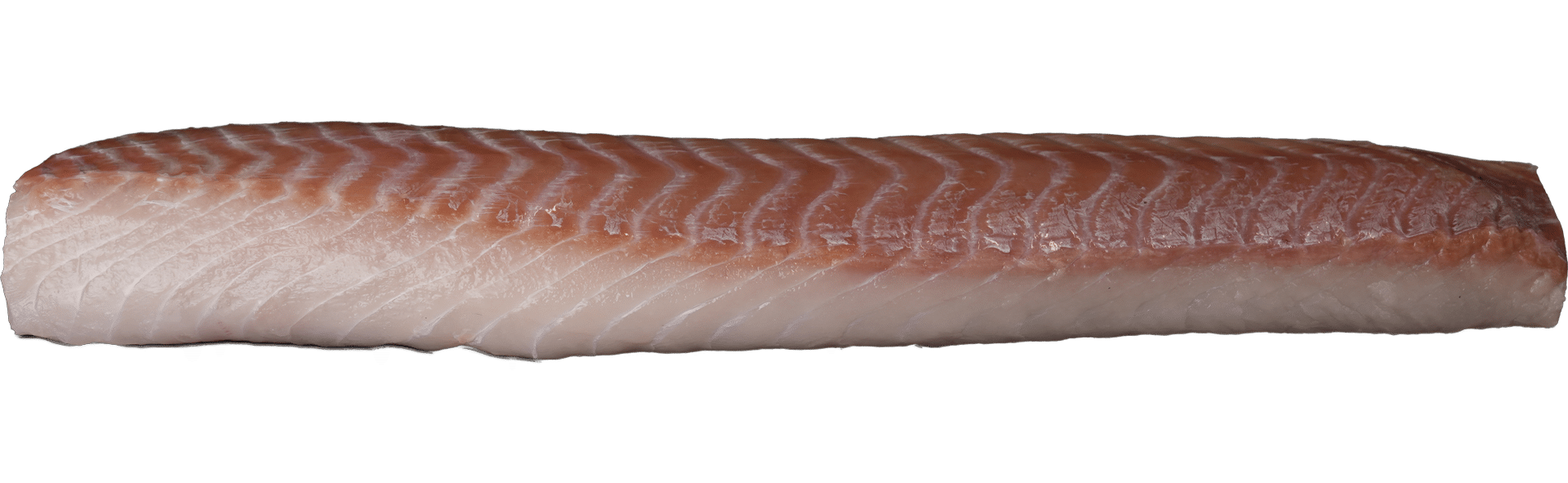 Skinless Pollock Loins Zeelandia van Belzen Fish Wholesalers