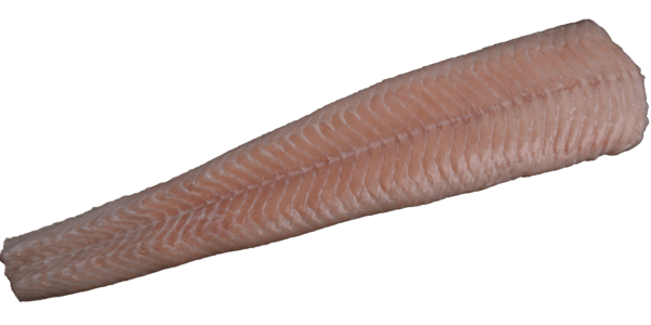 Zeelandia van Belzen Fish Wholesalers Stone Bass Fillets