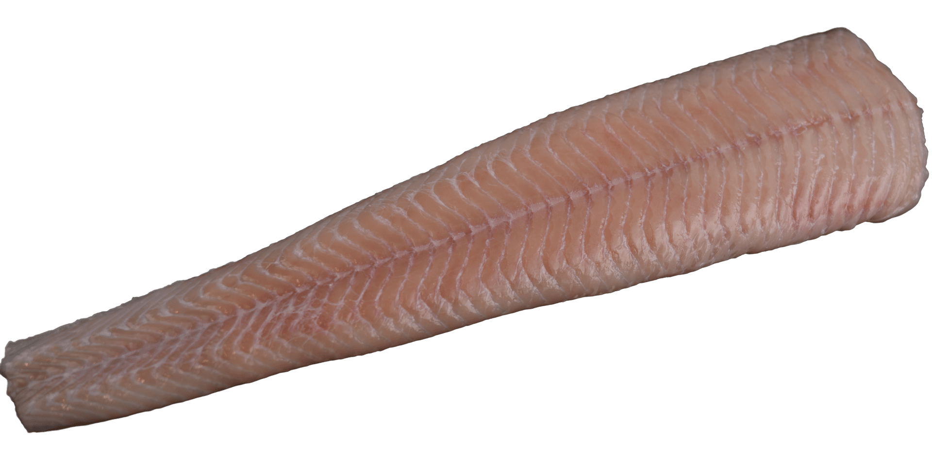 Zeelandia van Belzen Fish Wholesalers Stone Bass Fillets