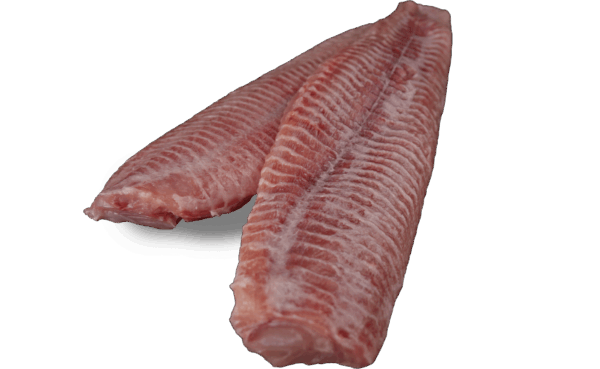 Zeelandia Wels fillet from Belzen Fish Wholesalers