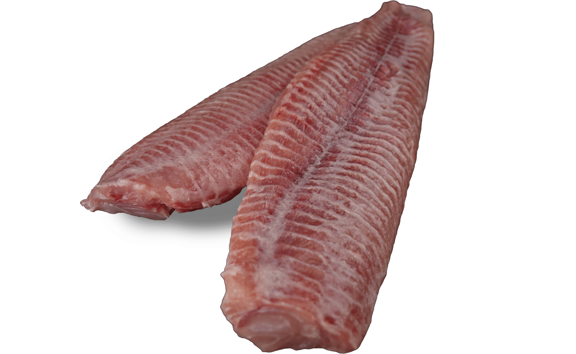 Zeelandia Wels fillet from Belzen Fish Wholesalers