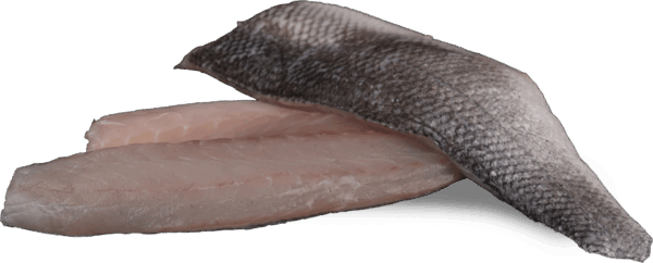 Zeelandia van Belzen Fish Wholesalers - Wolfsbass fillet with skin