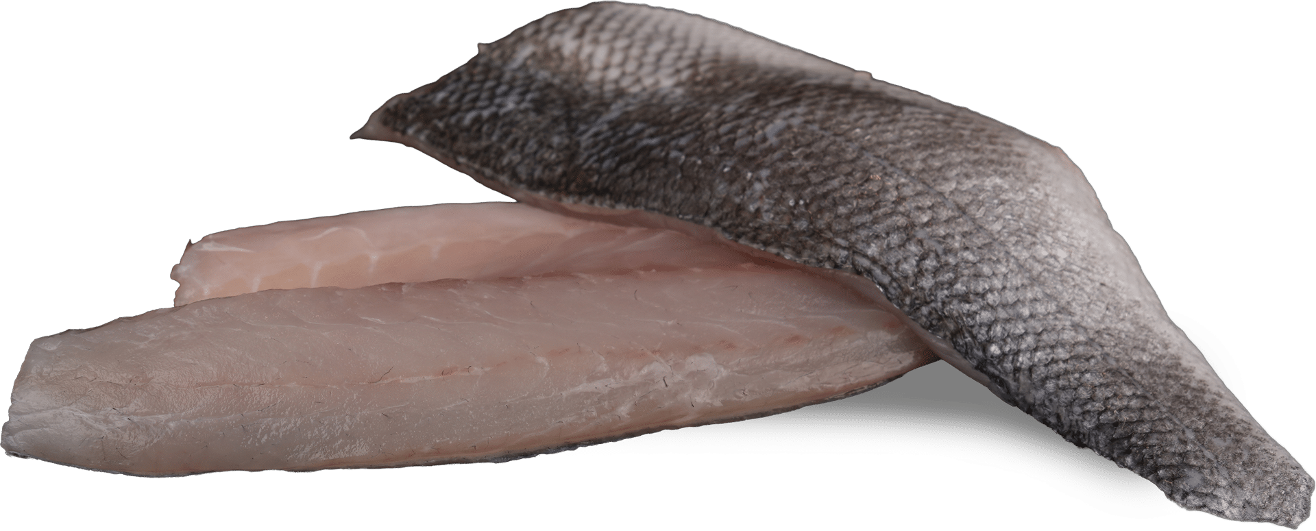 Zeelandia van Belzen Fish Wholesalers - Wolfsbass fillet with skin