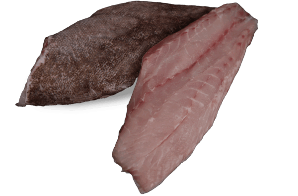 Zeelandia Bass Fillet Belzen Fish Wholesalers
