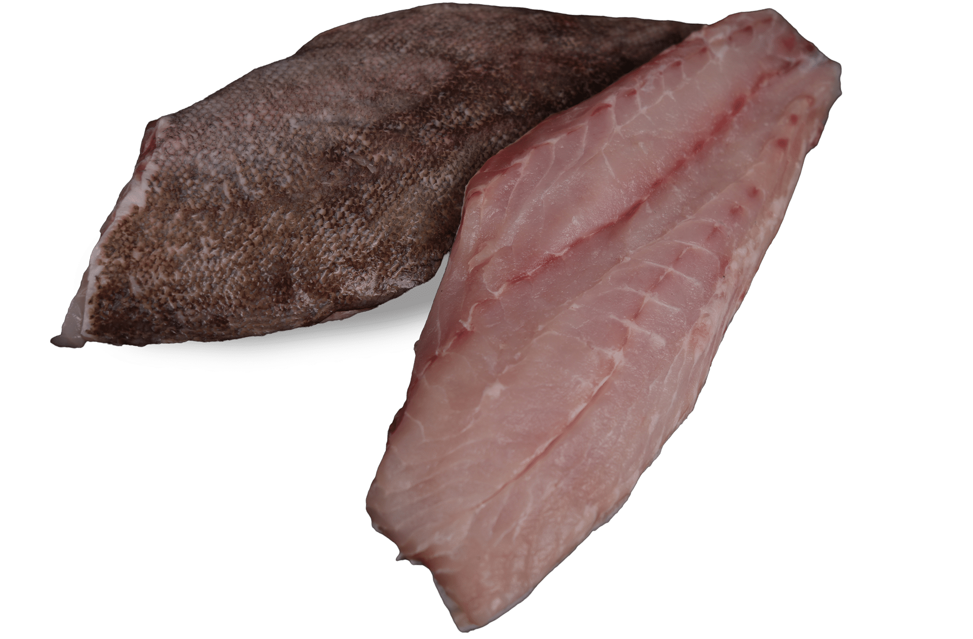 Zeelandia Bass Fillet Belzen Fish Wholesalers