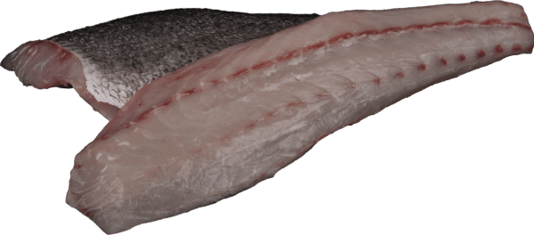 Sea bass fillet with skin Zeelandia van Belzen Fish Wholesaler