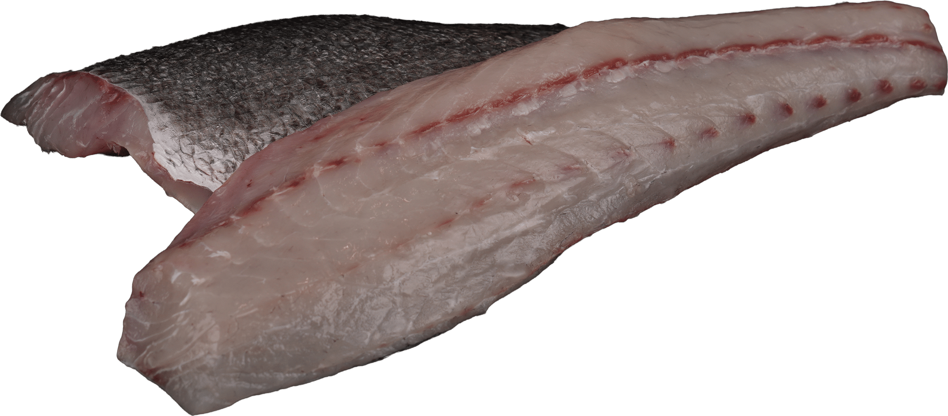 Sea bass fillet with skin Zeelandia van Belzen Fish Wholesaler