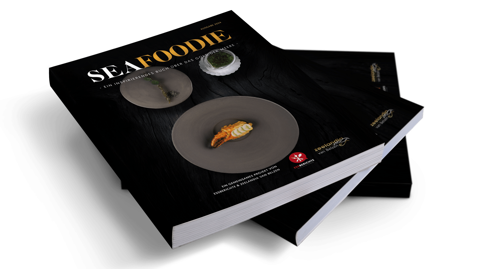 Seafoodie 2024 Zeelandia van Belzen Accounting Reports