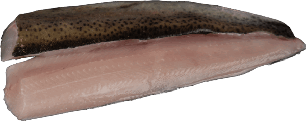 Trout fillet with skin Zeelandia van Belzen Fish Wholesale