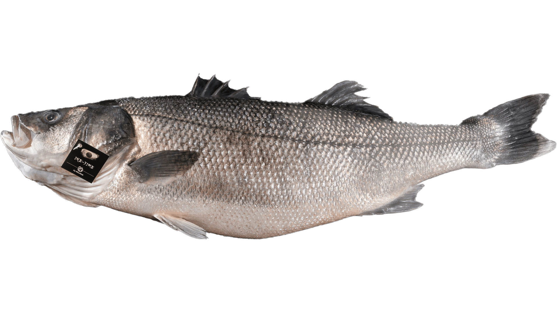 Whole fish