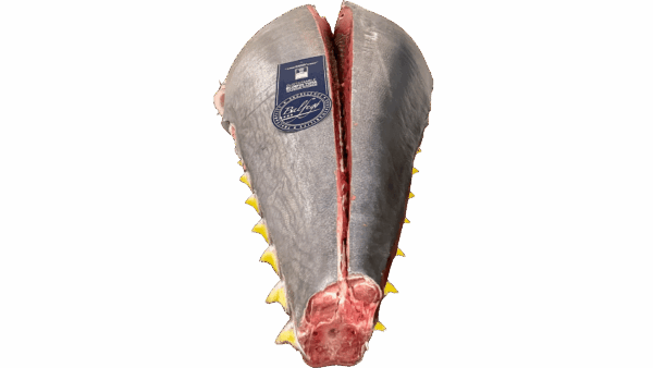 0003_Bluefin Tuna