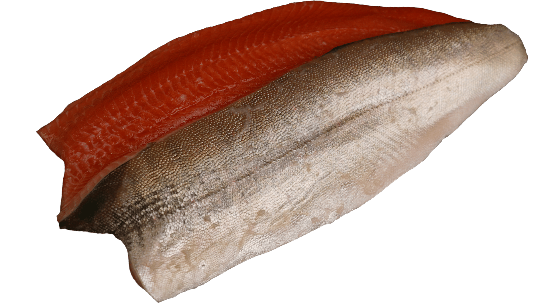 0047_Arctic char fillet