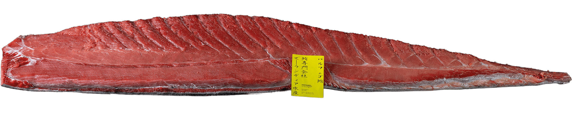 0050_Bluefin_Tuna_loin_with_skin