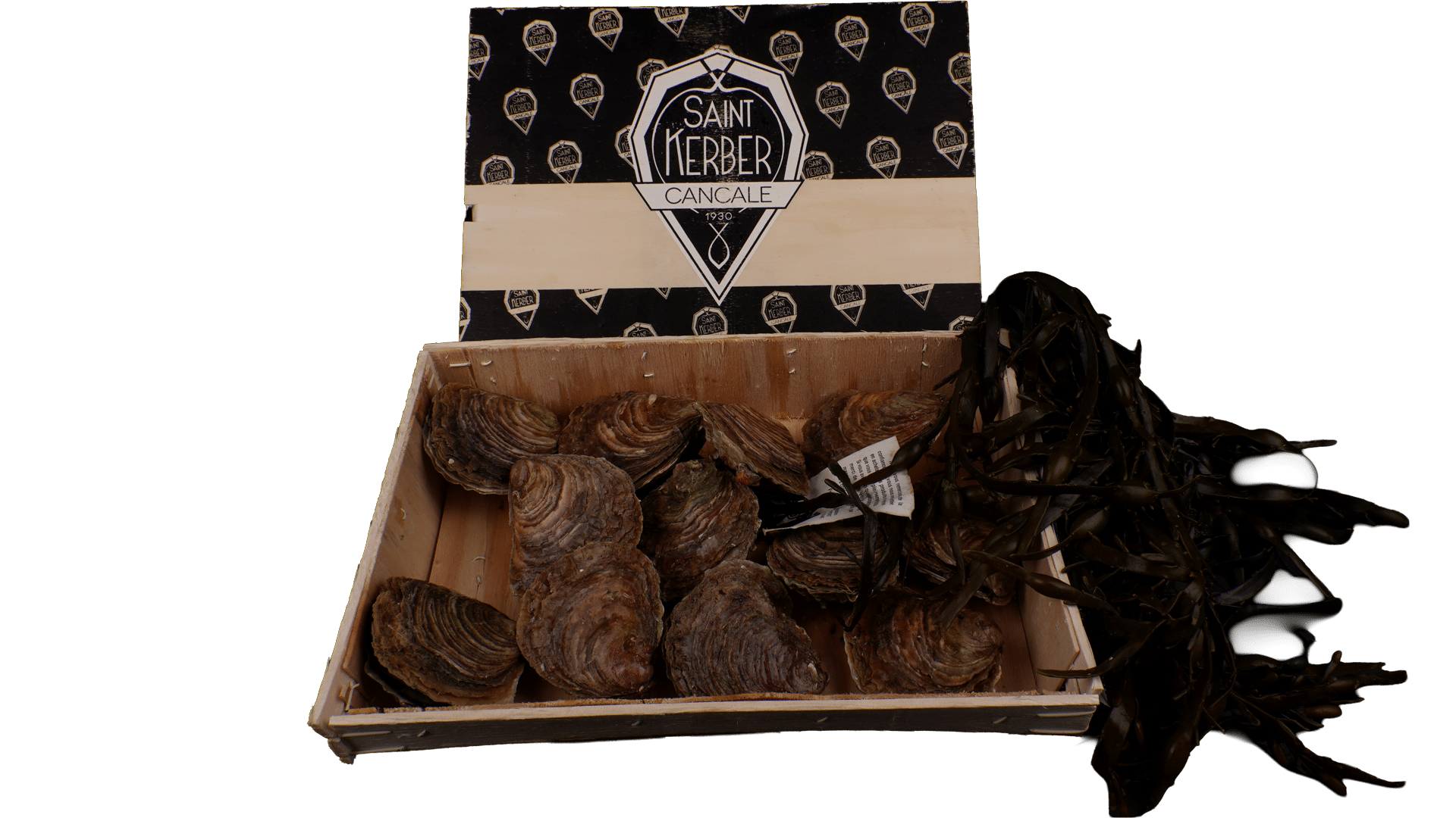 0159_Oysters_Kerber
