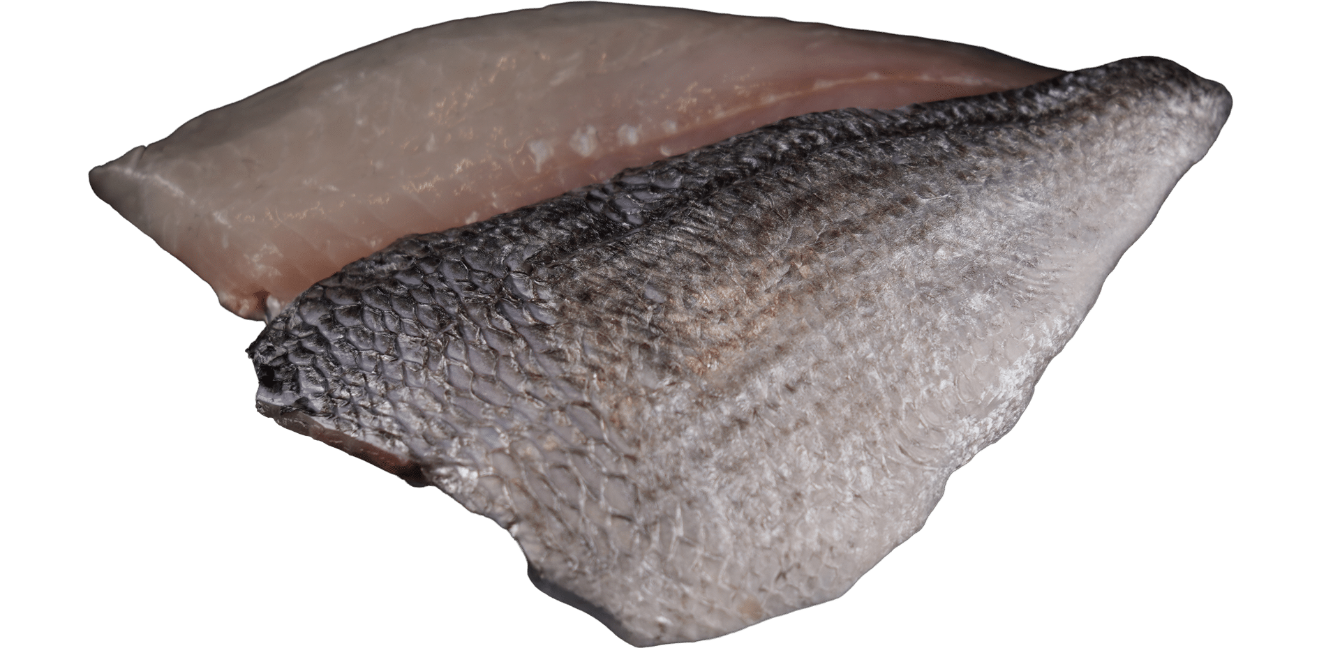1000_Sea Bream Fillets with Skin