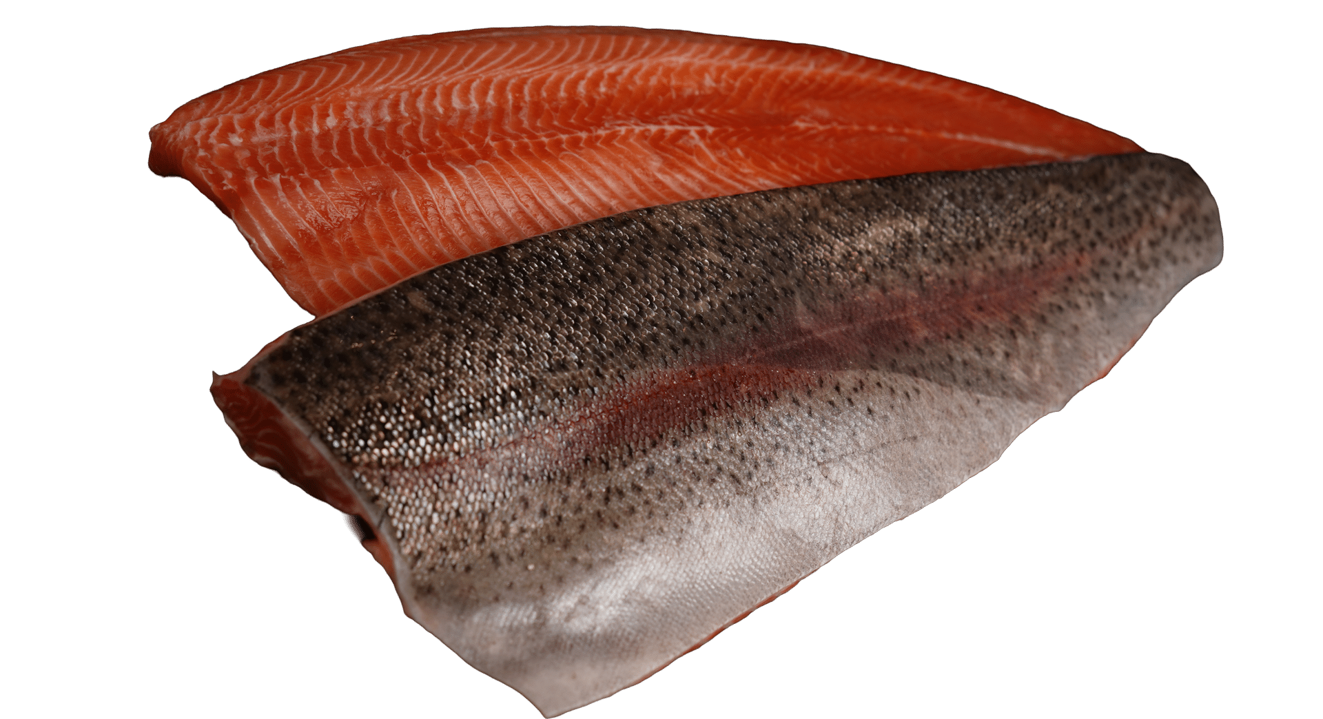 1006_Fjord Trout Fillets