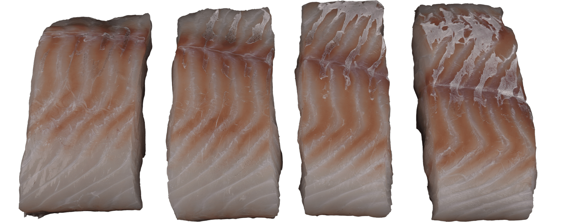 1011_Cod fillet_Portions