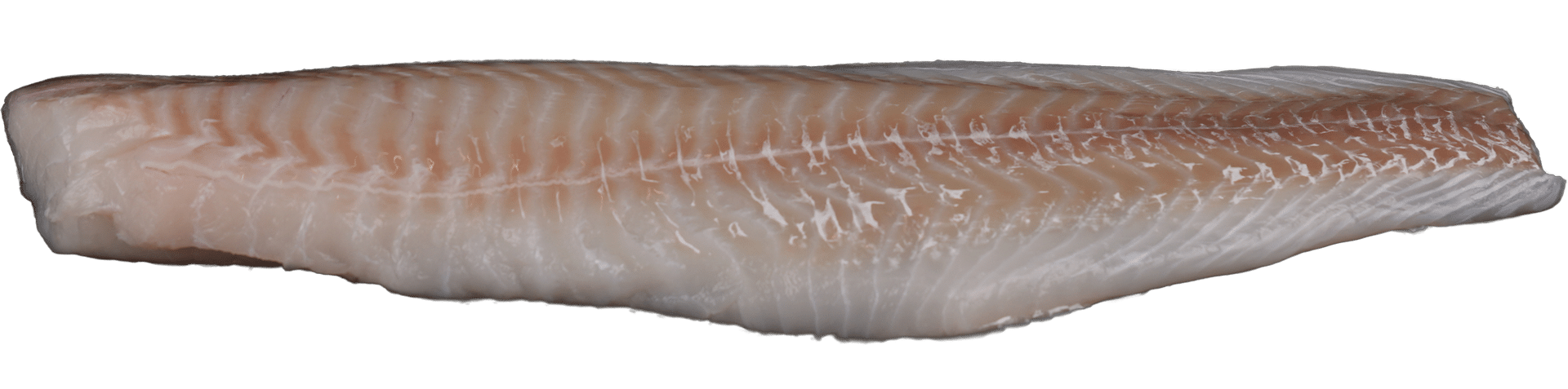 1015_Cod_Fillet_Skinless