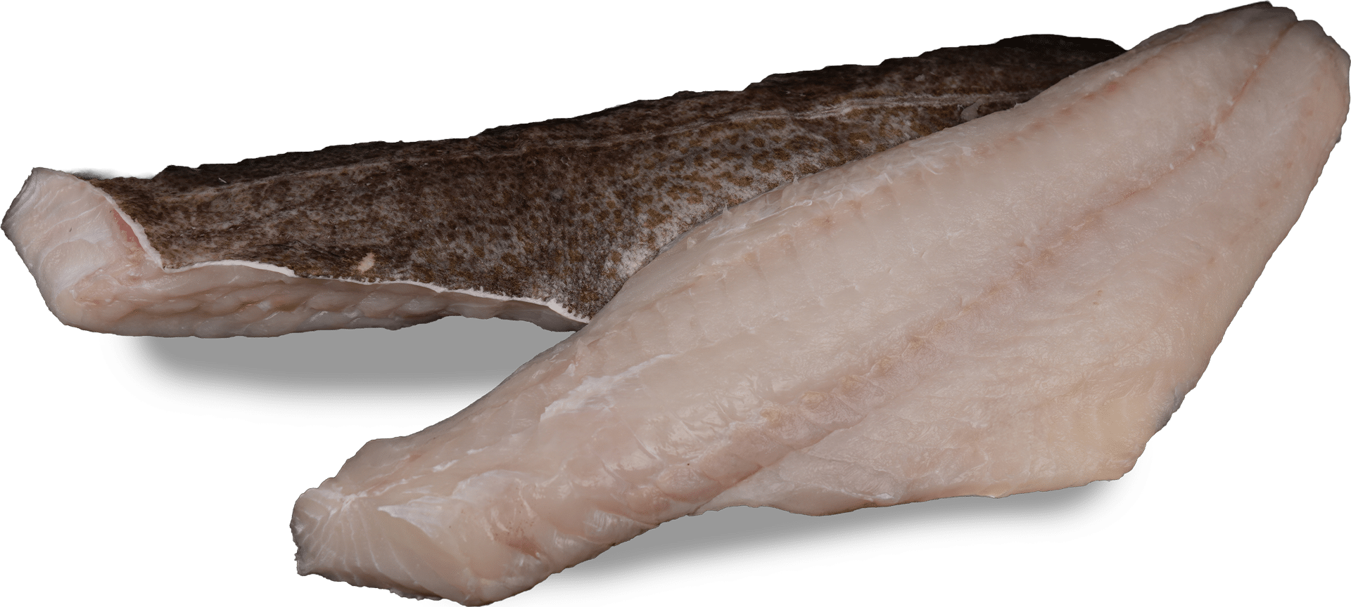 1018_Cod fillet with skin