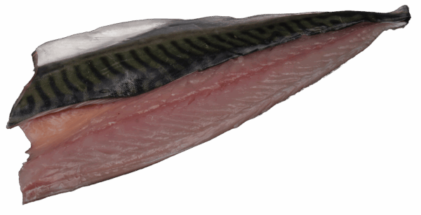Zeelandia Mackerel Fillets from Belzen Fish Wholesalers