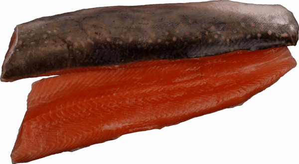 Zeelandia van Belzen Trout Fillet Fish Wholesaler