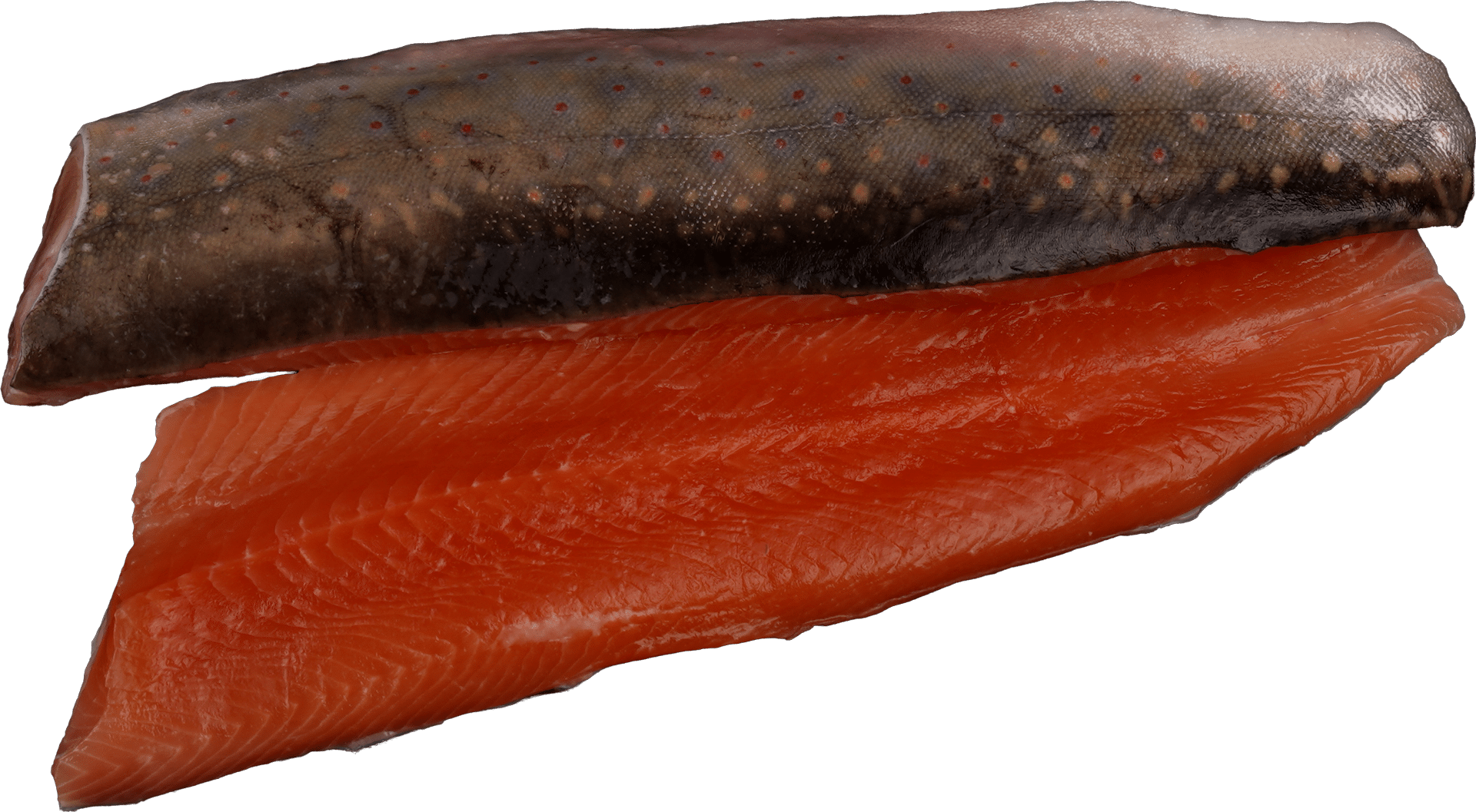 Zeelandia van Belzen Trout Fillet Fish Wholesaler