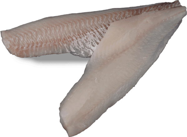 Haddock fillet, skinless or with skin, Zeelandia van Belzen Fish Wholesalers