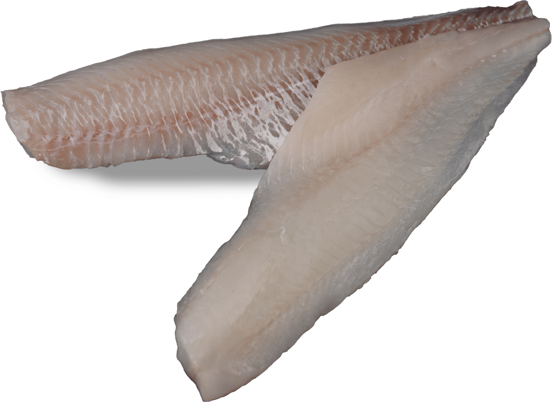 Haddock fillet, skinless or with skin, Zeelandia van Belzen Fish Wholesalers
