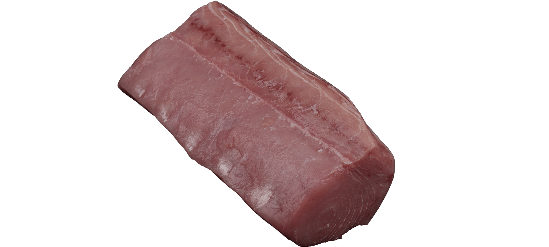 Zeelandia van Belzen Swordfish Fillet Fish Wholesaler