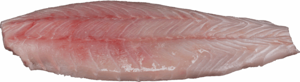 Zeelandia van Belzen – Victoria Perch fillet – Fish Wholesaler