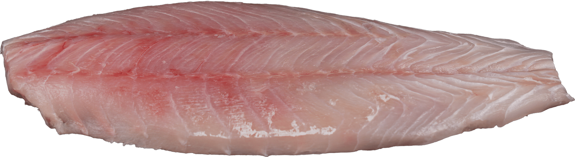 Zeelandia van Belzen – Victoria Perch fillet – Fish Wholesaler