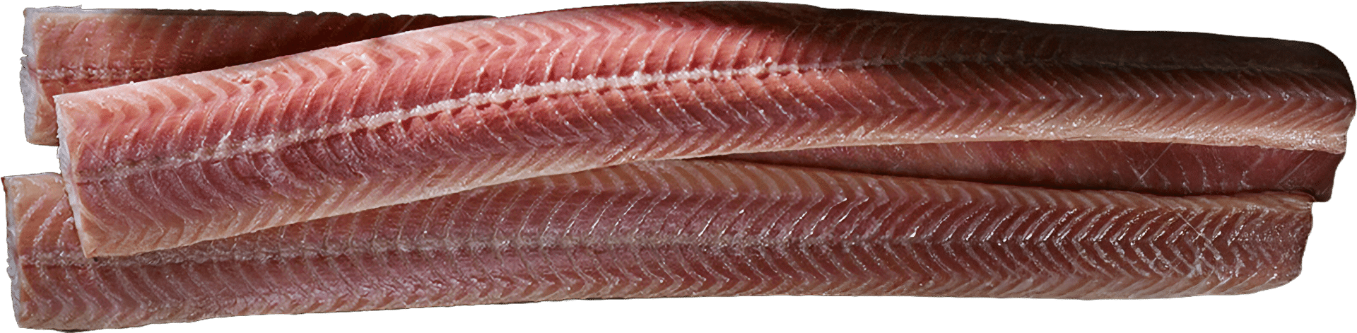 1260_Smoked_eel_fillet