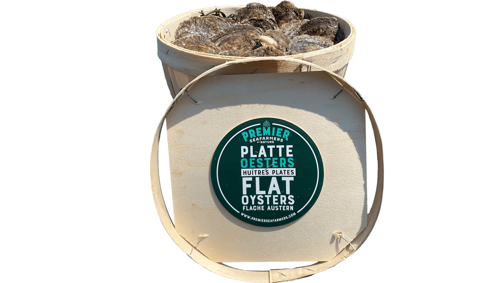 1296_Oysters_Belon_Flat